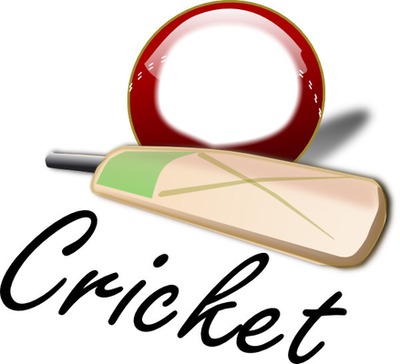 Cricket 3 フォトモンタージュ