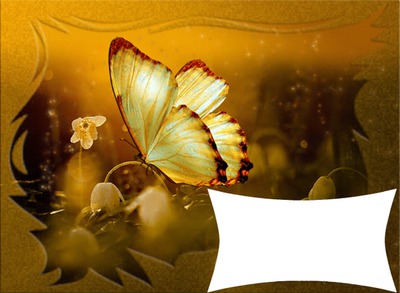 sweet butterfly Fotomontage