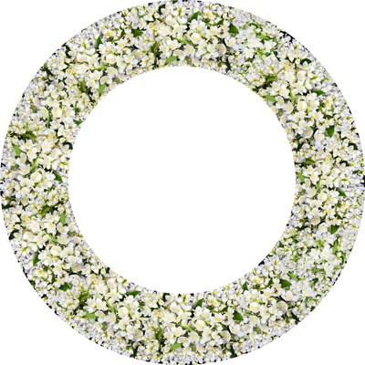 flores blancas Fotomontáž