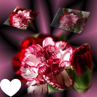 Cadre rose Fotomontage