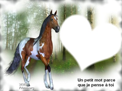 amour Fotomontagem