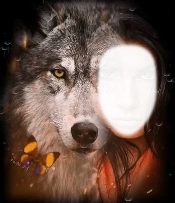 Cc Retrato de un lobo Fotomontáž