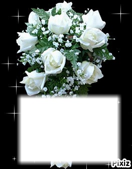 roses blanche Fotomontaż