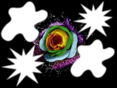 Roses Fotomontage