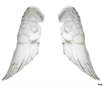 Angel Photomontage