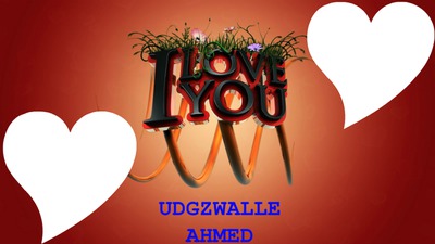 UDGZWALLE AHMED Montage photo