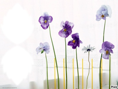 Trés fleurs bleue* Photo frame effect
