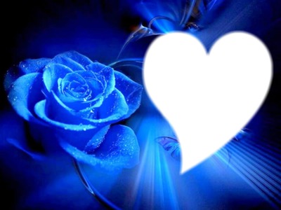 rose bleue Valokuvamontaasi