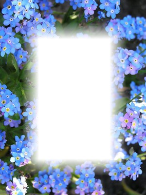 flower frame Fotomontažas