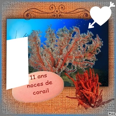 noce corail Photo frame effect