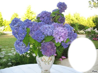 *Trés fleurs bleue* Fotomontage
