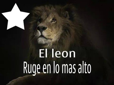 León Fotomontage