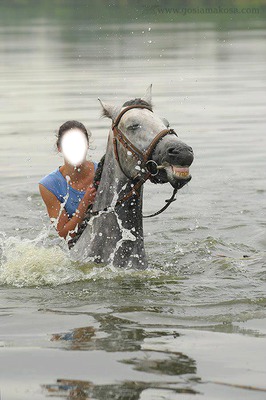 a cheval Photomontage