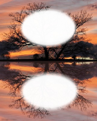 Nature - reflet Fotomontaža