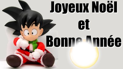 Joyeux Noel et Bonne Annéé 2017 1.1 フォトモンタージュ