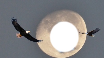 Lune Fotomontāža