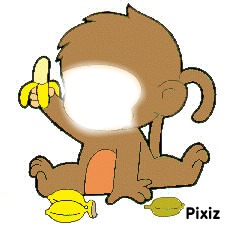 monkey donkey Photomontage