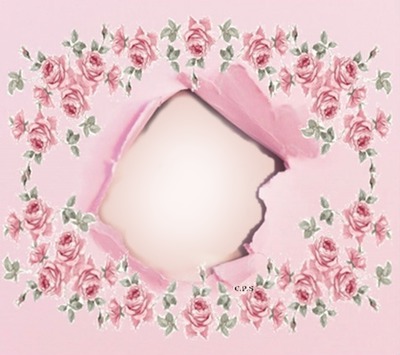 Cc arco de rosas Fotomontaža