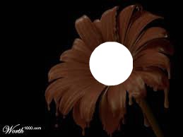 Fleur Chocolat Fotomontaggio