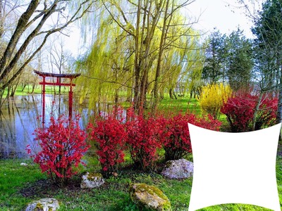 Jardin japonais Photomontage