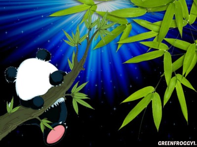 panda sur arbre Φωτομοντάζ