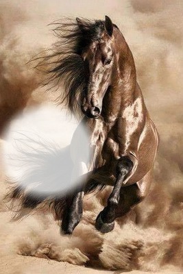 cheval Fotomontage