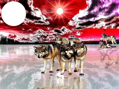 wolves Fotomontaggio