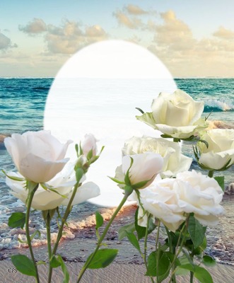 Cc Mar y Rosas Photo frame effect