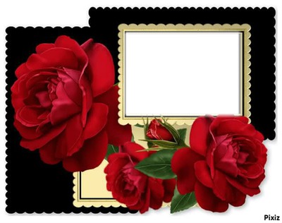rose rouge Fotomontagem
