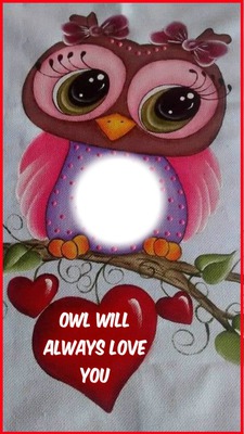 owl will always love you Fotomontāža