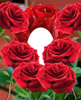 Cc Rosas y Rosas Fotomontáž