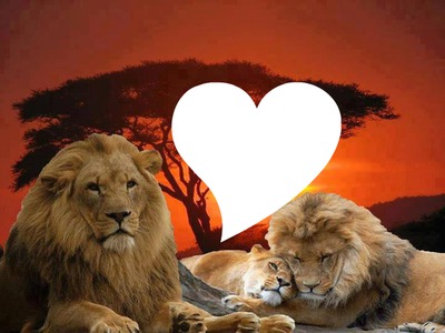 Lions Heart Photo frame effect
