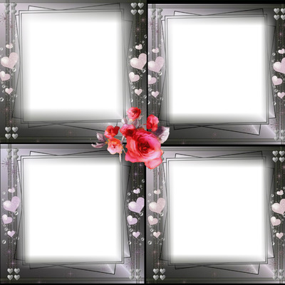 Cadre fleurs Photomontage