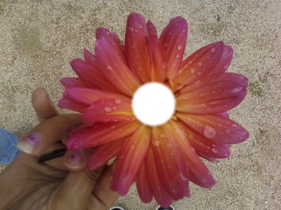 Ma fleur Fotomontaža