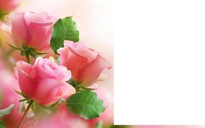vie en roses Fotomontage