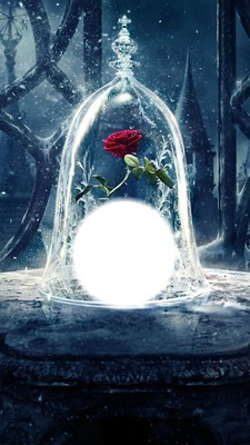 red roses Photomontage