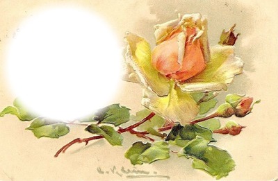 rose jaune Fotomontaż