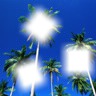 palmiers Fotomontāža