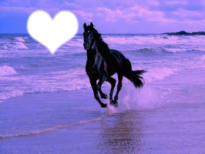 cheval du coeur Фотомонтажа
