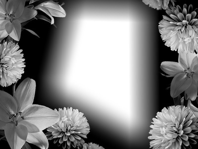 noir et blanc Фотомонтажа