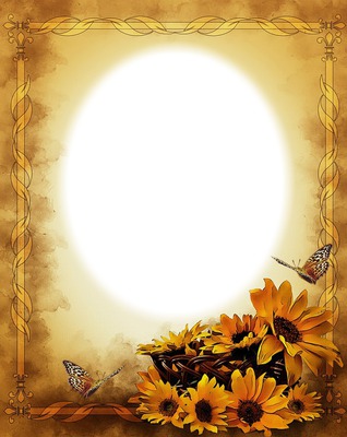 Cadre-nature-tournesol-papillon Photo frame effect