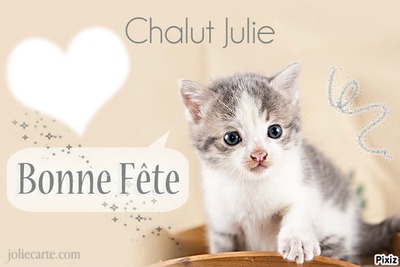 *chaton* Fotomontage