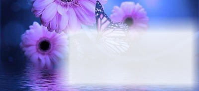 fleurs et papillons Fotomontage