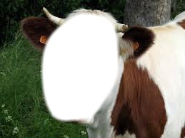 la vache Fotomontage