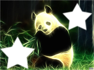 panda loulou amine Fotómontázs