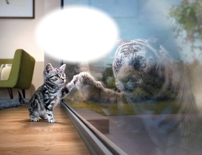 Chat-tigre Fotomontasje
