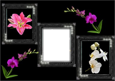 Cadre orchidées Фотомонтажа