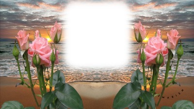 flores de playa Fotomontage