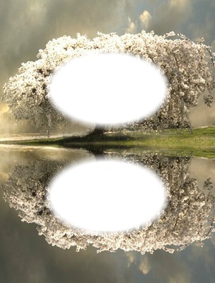Arbre fleuri-nature-reflet Fotomontáž
