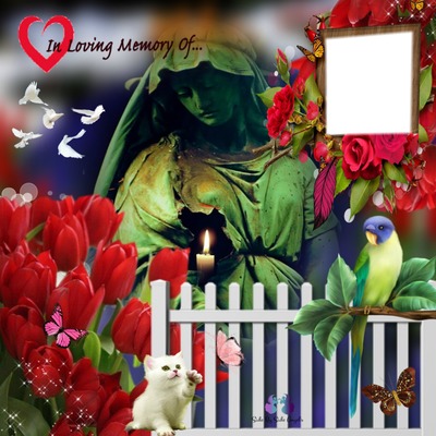 in loving memory Montage photo